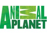Animal Planet