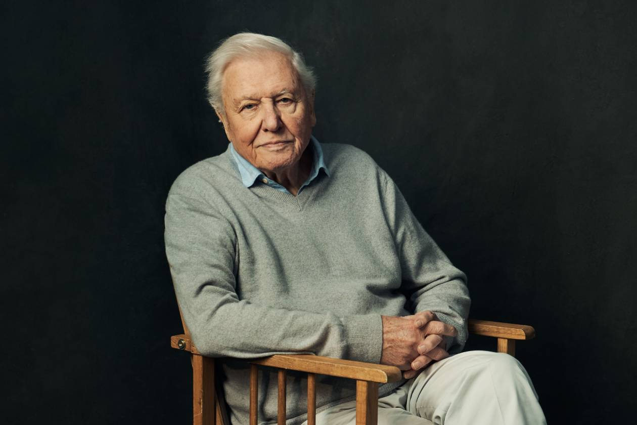 Realscreen &raquo; Archive &raquo; Sir David Attenborough at 100: Execs celebrate the  &ldquo;commitment, passion and craft&rdquo; of a broadcasting legend